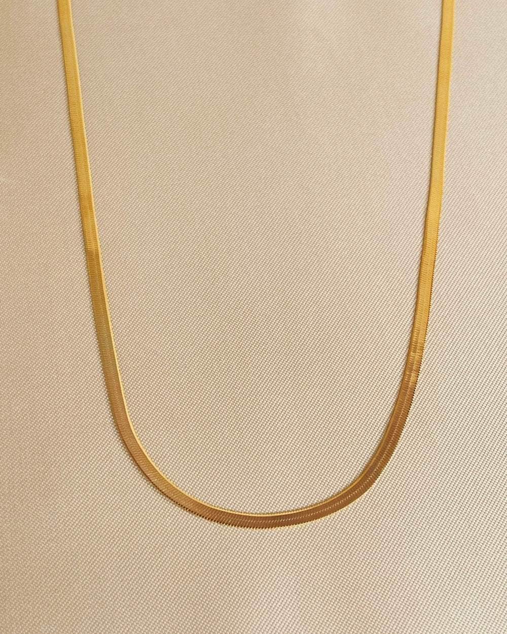 So Dainty Co. Necklaces Paula Gold Snake Choker Necklace Gold Plated 925 Sterling Silver Jewelry