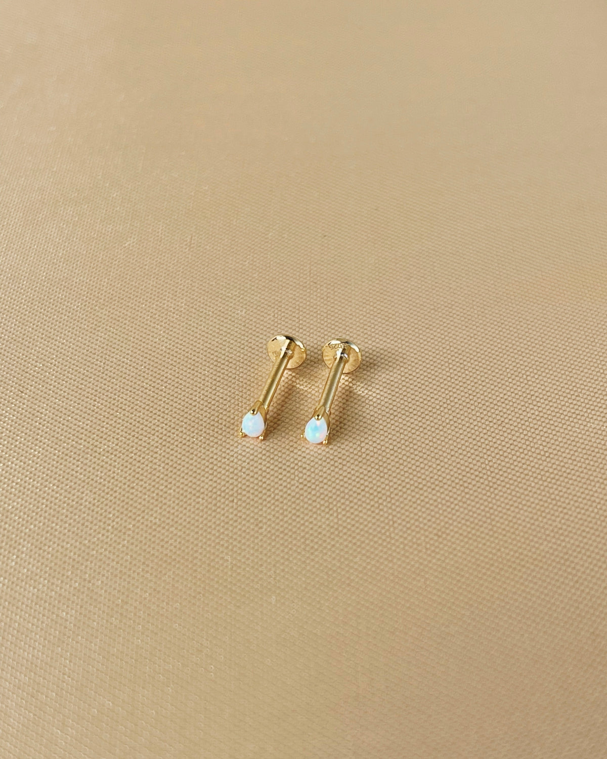 Labret studs store for ears